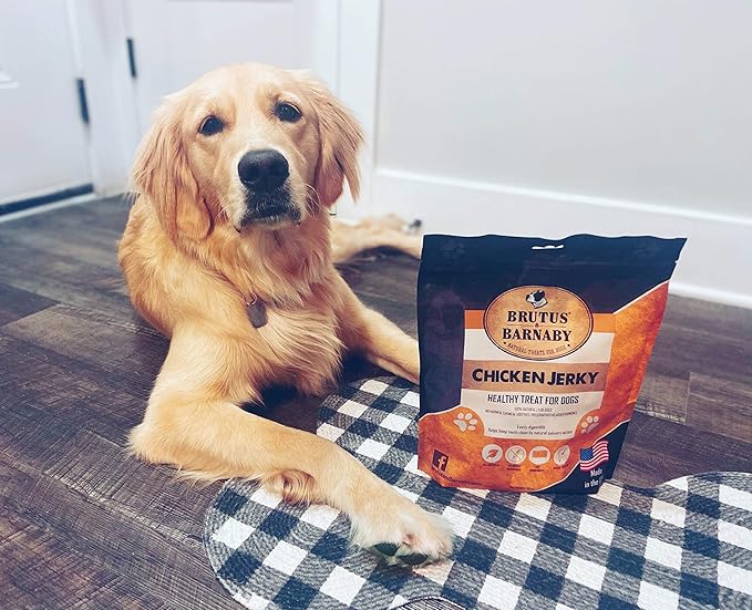 BRUTUS & BARNABY Chicken Jerky Dog Treats- Dehydrated Crunchy USA Premium Fillets, Grain-Free, Preservative-Free, No Fillers. All Natural Chicken Strips are Great for Dogs and Cats (10oz)