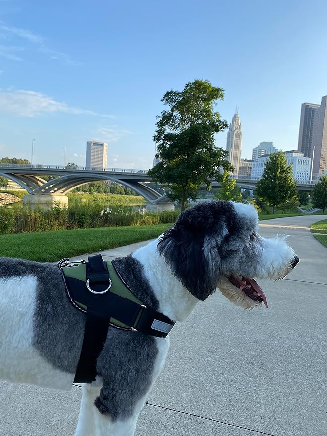 ShawnCo Essential Dog Harness, No-Pull Pet Vest with 3 Leash Clips, No Choke, Reflective, Adjustable and Padded, for Easy Walking and Training for Small, Medium and Large Dogs (Olive Green, L)