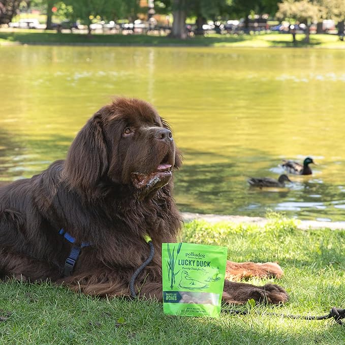 Polkadog Lucky Duck Bone-Shaped Dog Treats, Cat Snacks – All-Natural Pet Treats for Kittens, Puppies – Bite-Sized, Crunchy Snack for Dogs, Cats – 2 Ingredients – 7oz