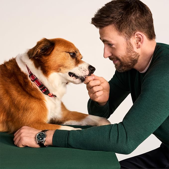 Jinx Tenders Beef Jerky Dog Treats, All Natural Ingredients, Soft and Chewy, Low-Calorie, Slow-Smoked Beef & Liver, No Fillers, 5oz (Pack of 2)