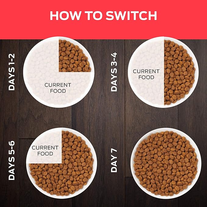 Pro Plan Veterinary Diets Purina DM Dietetic Management Feline Formula Dry Cat Food - 6 lb. Bag