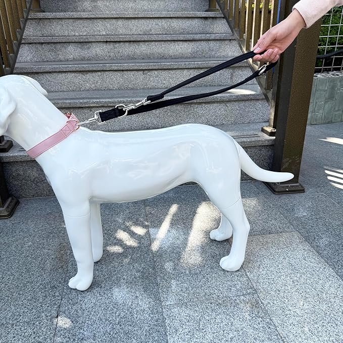 Double Ended Dog Leash,for Obedience Training Easy to Use,Lightweight,Soft for Large and Medium Dogs (Black, 1M*2.5CM)