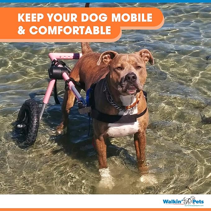 Walkin' Wheels Dog Wheelchair - for Large Dogs 70-180 Pounds - Veterinarian Approved - Dog Wheelchair for Back Legs