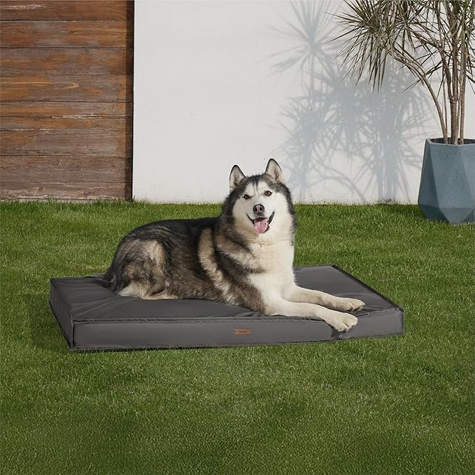 LE SURE Outdoor Waterproof Dog Bed for Extra Large Dogs, Orthopedic Egg Crate Foam Pet Bed with Oxford Fabric Surface and Removable and Durable Cover, Machine Washable, 48''x30'', Grey