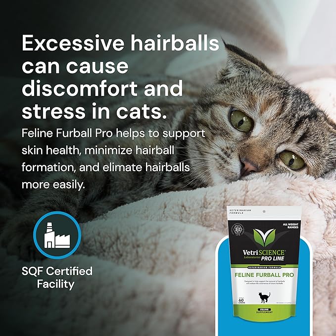 VETRISCIENCE Veterinary Strength Hairball Control for Cats - Cat Hairball & Digestion Support for Cats Skin & Coat Health Formula - Chicken Flavor - 60 Chews (Pack of 2)
