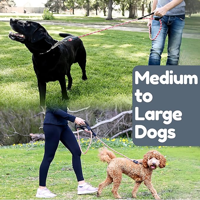Premium 6 Ft Dog Leash - Two Extra Padded Handles, Heavy Duty Leashes for Medium Dogs to Large Breeds, Reflective, Shock-Absorbing, Anti-Pull Rope Leash, Strong Pet Lead for Everyday Walks - Roam Gear