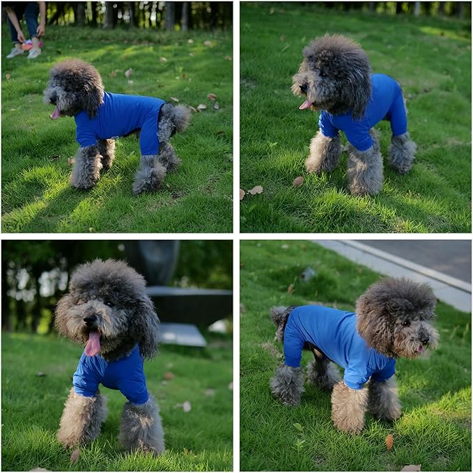 LoveLongLong Dog Jumpsuit with UV Protection and Quick-Dry Fabric for Spring Summer Pet Pajamas Royel Blue L