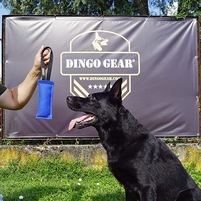 Dingo Gear French Linen tug Toy for Dog, Dog Bumper for Training, Agility, tug of war, Dog bite Pillow for Strong Dog, 1handle 8" Orange S00086