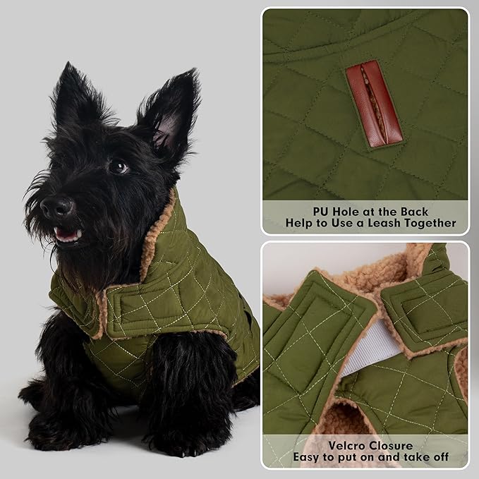 azuza Dog Jacket Waterproof & Windproof Dog Coat for Small Dogs with Thick Fleece, High Collar with Leash Hole, Adjustable Velcro & Elastic Belly, Army Green M
