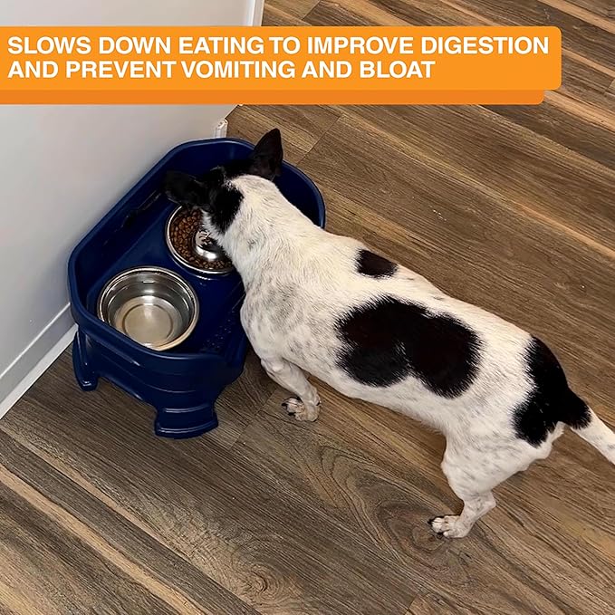 Neater Pet Brands Stainless Steel Slow Feed Dog Bowl for Fast Eating Small Breeds, Metal Slow Feeder Dog Bowl Fits in Cat & Small Neater Feeders, for Puppy or Dogs (< 15 lbs), 3/4 Cup Food Capacity