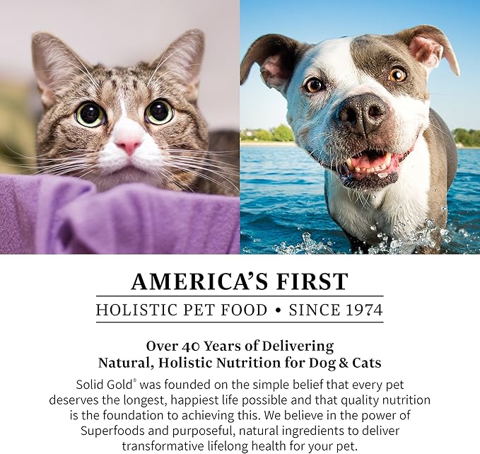 Solid Gold Cat & Dog Vitamins for UTI - Powdered Cranberry Supplement for Dogs & Cats - Urinary Tract, Bladder & Kidney Support for Dogs & Cats - Cat & Dog UTI Over the Counter Supplement Powder-3.5oz