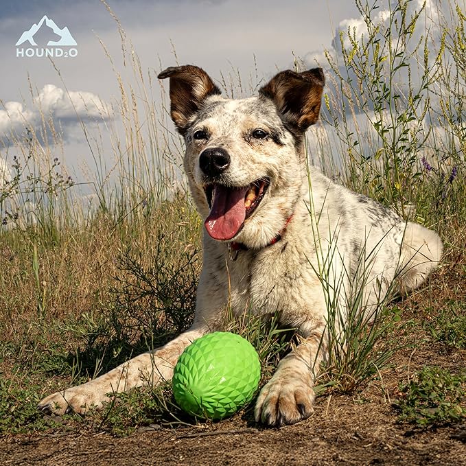 Playology Hound2O Dog Toys | Squeaky Football Toy Dogs to Chase | Green Floating Outdoor Toy - Easy to Clean and Made from Non Toxic Materials