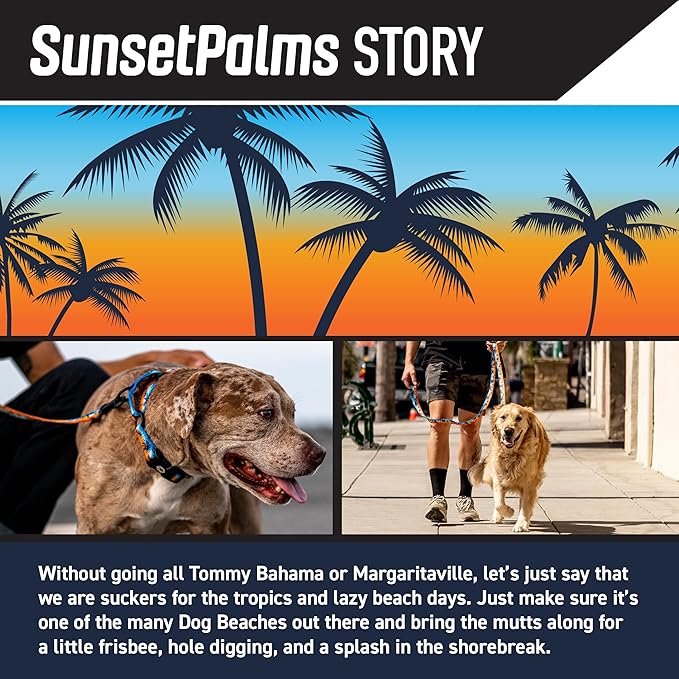 Wolfgang Heavy Duty Martingale Dog Collar with Quick Release Nylon Buckle for Walking & Training, SunsetPalms Print, Medium