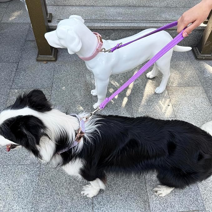 Double Ended Dog Leash,for Obedience Training Easy to Use,Lightweight,Soft for Large and Medium Dogs (Purple, 1M*2.5CM)