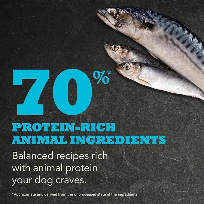 ACANA Highest Protein Grain Free Dry Dog Food Wild Atlantic Recipe 4.5lb Bag