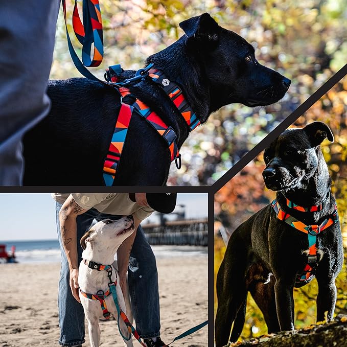 Wolfgang Heavy Duty Adjustable Dog Harness, Pull-Tested to Over 800 lbs for Walking & Training, ShatterShapes Print, Large