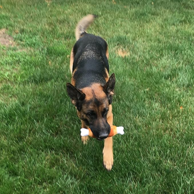 Jalousie 12 Pack Dog Squeaky Toys Cute Plush Toys for Small Medium Dog Pets