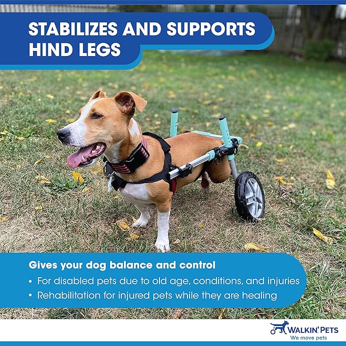 Walkin' Wheels Small Dog Wheelchair, Lightweight Dog Wheelchair for Back Legs, 11-14 lbs, for 7-8 inches Leg Height - Pink