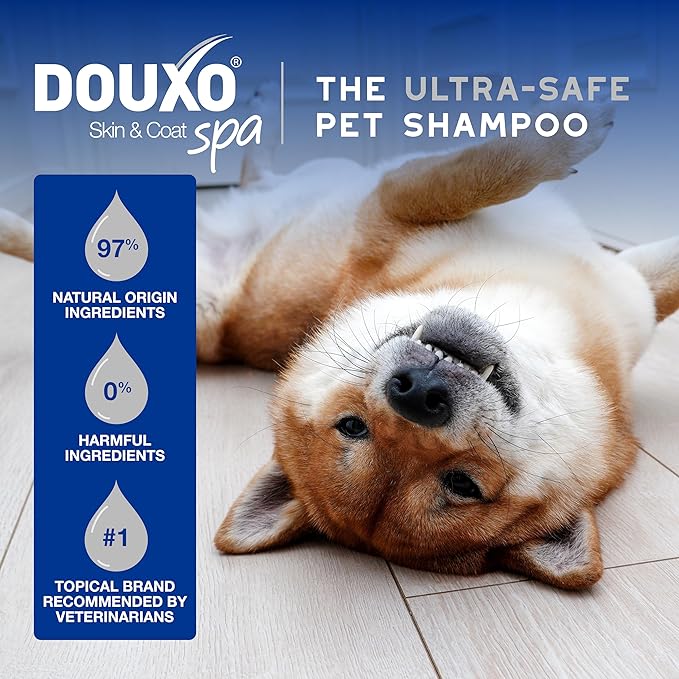 DOUXO® Skin & Coat SPA - Ultra-Safe Multipurpose Wipes for Dogs and Cats, 100 Wipes, Gently Removes Tear and Saliva Stains, Leaves the Coat and Skin Refreshed and Smelling Great, Skin-Friendly Formula