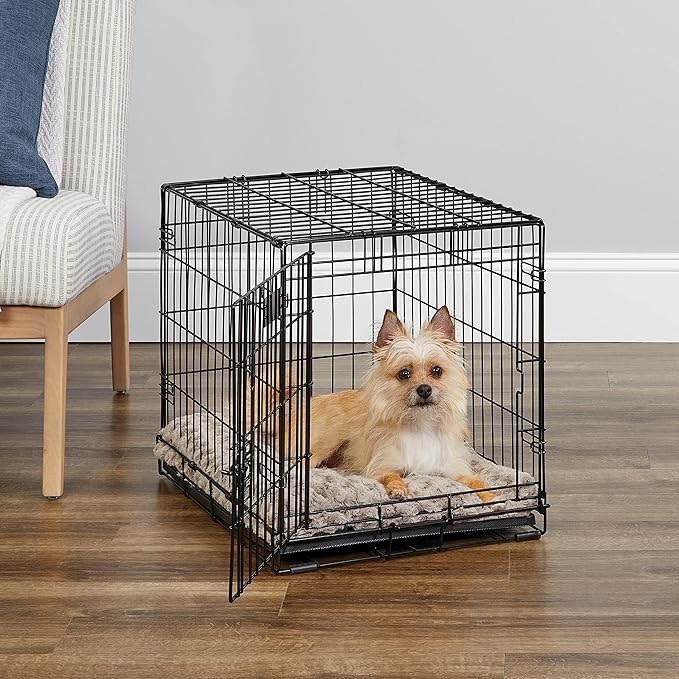 MidWest Homes for Pets 24-Inch iCrate Folding Dog Crate with Divider Panel, Leak-Proof Tray & Secure Latches – Metal Wire Kennel for Small Breeds – Portable, Durable & Easy to Assemble