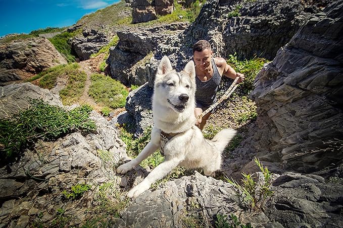 Puppytie Dog Harness & Multi-Function Leash Set - No Pull Function, Easy Walk Design - Camouflage Brown, Size M