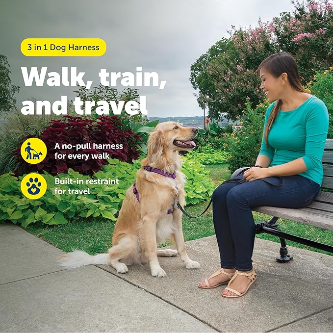 PetSafe 3-in-1 Harness - Comfortable Easy-Walk Dog Chest Harness with Front Leash Attachment to Reduce Pulling, Choking & Gagging - Dog Obedience Gear - Large - Plum