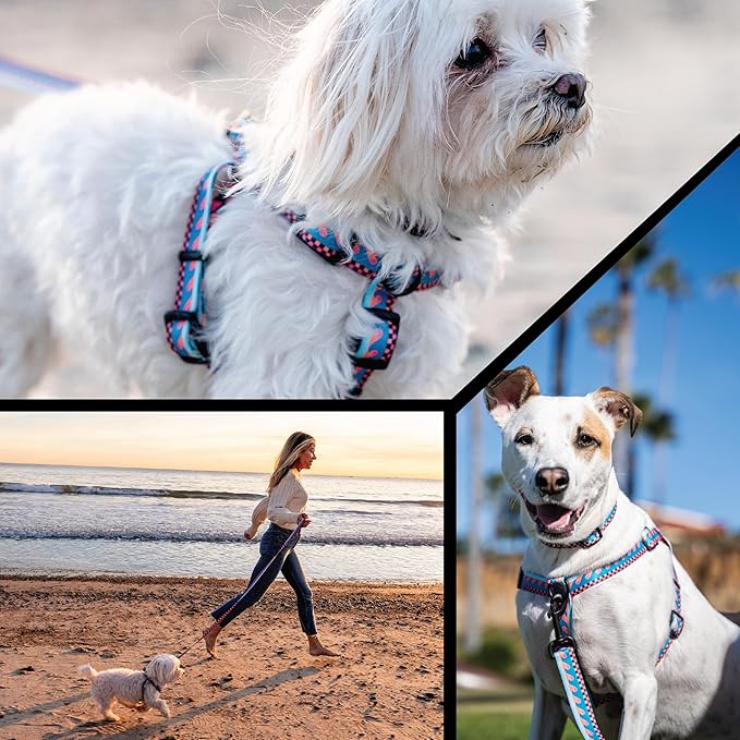 Wolfgang Heavy Duty Adjustable Dog Harness, Pull-Tested to Over 800 lbs for Walking & Training, BuenaOnda Print, X-Large