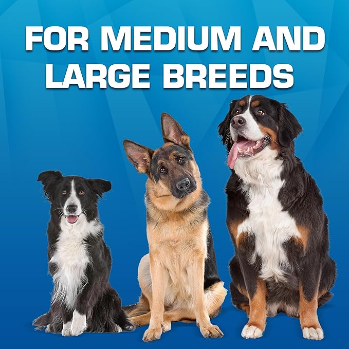 Nerf Dog Trackshot Launching Duck Dog Toy, 16.5 Dog Fetch Toy for Medium and Large Breeds, Green