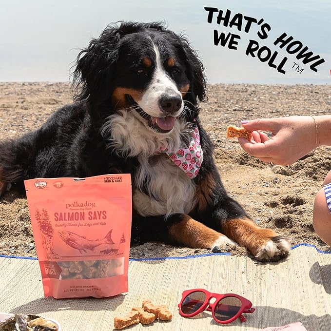 Polkadog Salmon Says Bone Shaped Treats - Omega-3 Rich, Low Fat Healthy Dog Treat - Digestible, Vitamin & Mineral Packed Dog Snacks - Crunchy 3-Ingredient Treat, Ideal for Dogs with Allergies - 7 oz