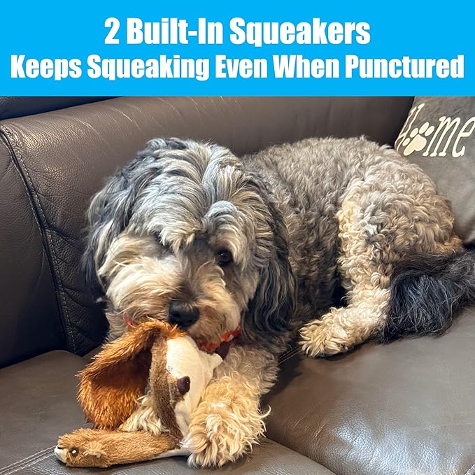 SPOT Skinneeez Plus Squirrel - Stuffing Free Dog Toy with Two Piece Rubber Body and Two Squeakers, Fun to Bite, Stuffingless Design is Great for Moderate Chewers, Tug Toy for Puppies & Dogs - 15in