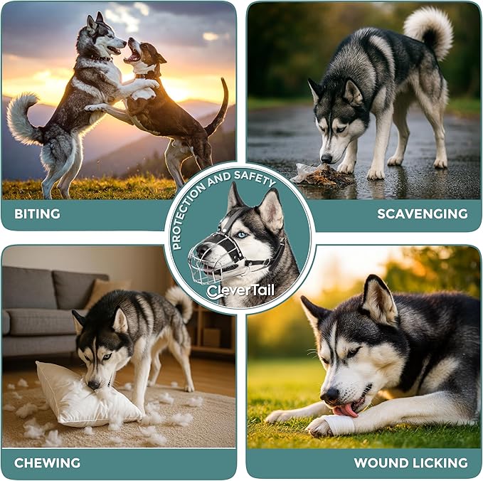 Metal Husky Muzzle for Large Sized Dog – Basket Muzzle for Dogs with Adjustable Leather Straps – Steel Cage Dog Muzzle to Prevent Biting and Eating – Mouth Guard for Large and Medium Dogs