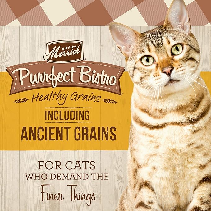 Merrick Purrfect Bistro Premium Healthy Grains Dry Cat Food For Adult Cats, Real Chicken And Brown Rice Recipe - 12.0 lb. Bag