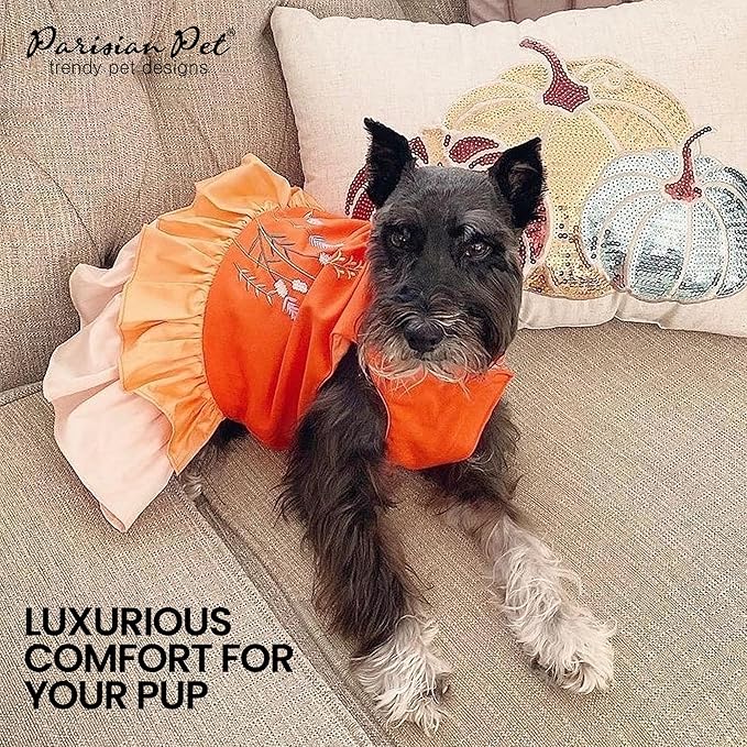 Parisian Pet Color Block Summer Dress - Lightweight Sleeveless Frock - Beach Outfit - Machine Washable - for Large Dogs Girl XL