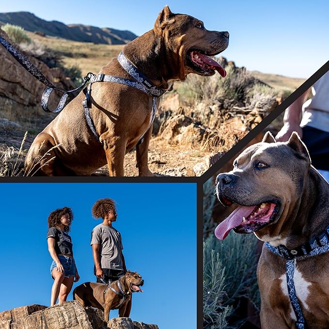 Wolfgang Heavy Duty Adjustable Dog Harness, Pull-Tested to Over 800 lbs for Walking & Training, WolfMountain Print, Extra Large