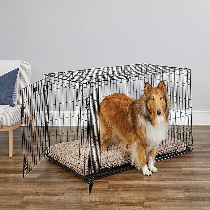 MidWest Homes for Pets 48-Inch Two-Door iCrate Folding Dog Crate with Divider Panel, Leak-Proof Tray & Secure Latches – Metal Wire Kennel for XL Breeds – Portable, Durable & Easy to Assemble