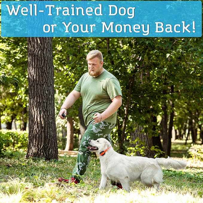 PetSpy M919 Dog Training Shock Collar, 1000 Yards, Medium to Large Dogs, with Vibration, Electric Shock and Beep, Waterproof, Remote Trainer (Two Dogs)