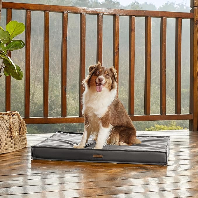 LE SURE Outdoor Waterproof Dog Bed for Medium Sized Dogs, Orthopedic Egg Crate Foam Pet Bed with Oxford Fabric Surface and Removable and Durable Cover, Machine Washable, 30''x20'', Grey