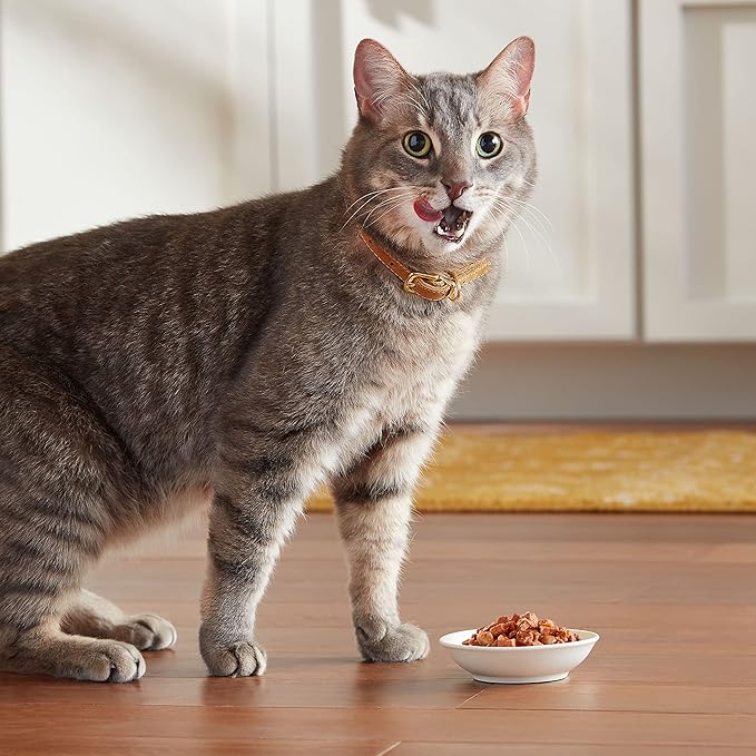 Meow Mix Tenders in Sauce Wet Cat Food, Salmon & Crab, 2.75 Ounce Cup (Pack of 12)