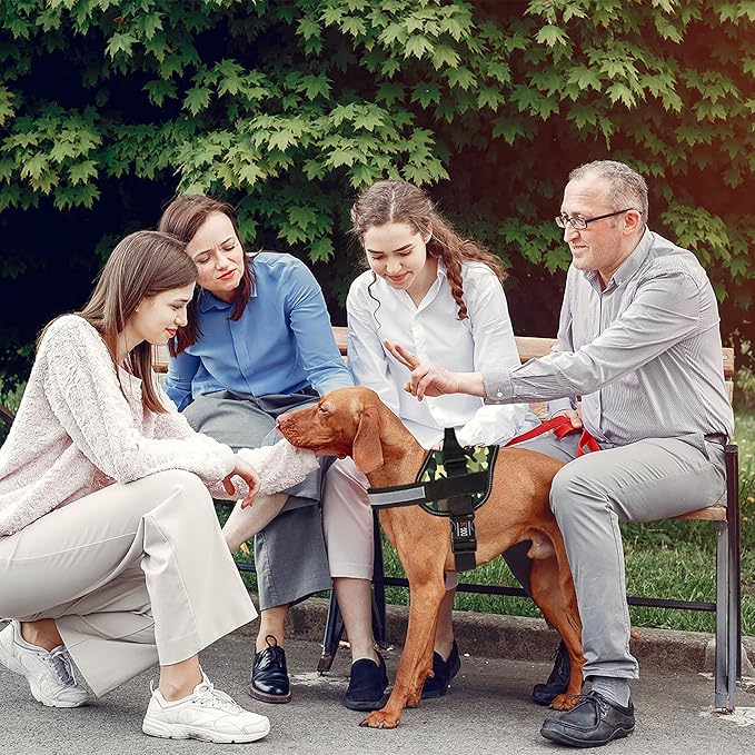 Dogline Dog Harness, Reflective No-Pull Adjustable Vest with Handle, Breathable No-Choke Harness for Small, Medium or Large Dogs Room for Patches Girth 27 to 34 in Green Camo