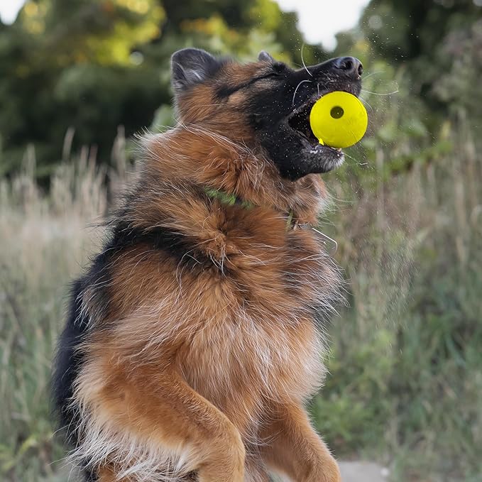 Chew King Flavored Rubber Ball Collection, 3 Inch Chicken Flavor Rubber Balls 2-Pk