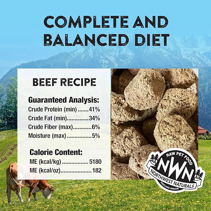 Northwest Naturals Freeze-Dried Beef Dog Food - Bite-Sized Nuggets - Grain-Free, High-Protein, Raw Diet, Human-Grade Ingredients, All Natural, Premium Quality, Healthy & Nutritious - 12 Oz