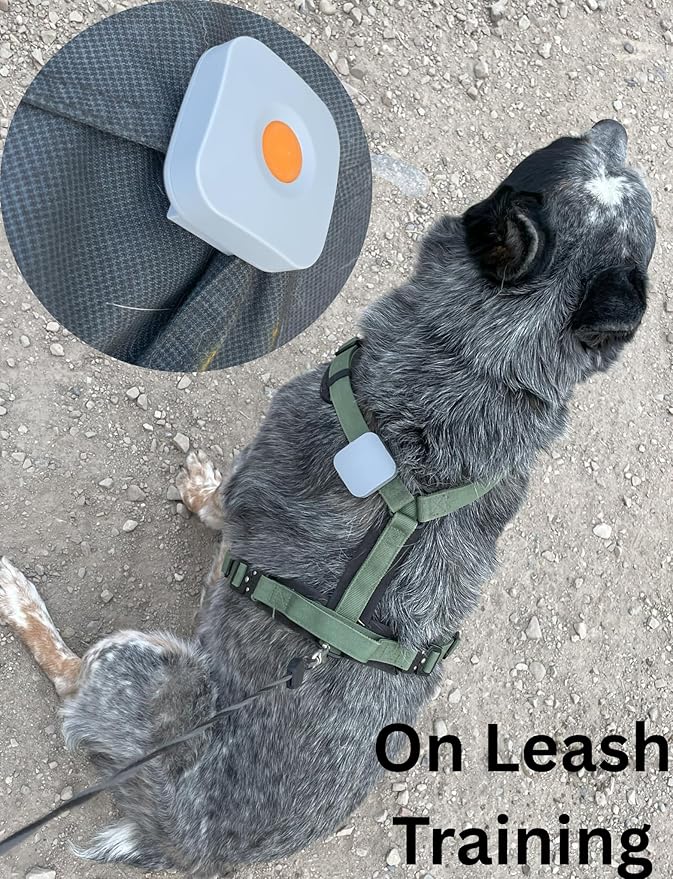 Dog Training Collar with Remote Controller - E Collar for Dogs Training Small, Medium, Large Dog Training, Waterproof Dog Collar, Rechargeable Dog Training & Behavior Aids Dog Accessories