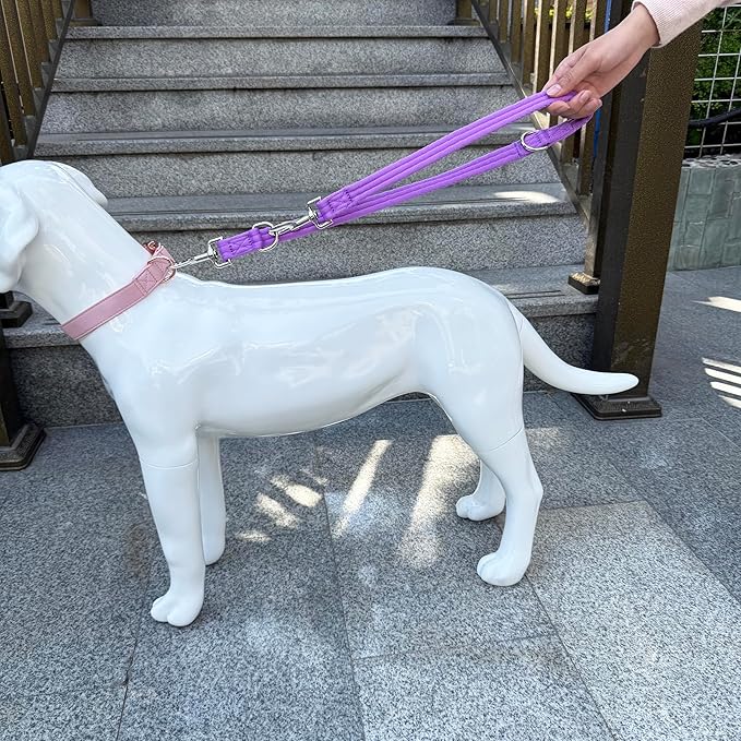 Double Ended Dog Leash,for Obedience Training Easy to Use,Lightweight,Soft for Large and Medium Dogs (Purple, 1M*2.5CM)