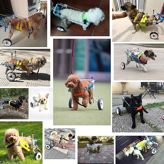 Adjustable Dog Wheelchair/Cart for Back Legs，Pet/Doggie Doggy Wheelchairs with Disabled Hind Legs Walking，Light Weight (7-Size(7-Size)(XS)