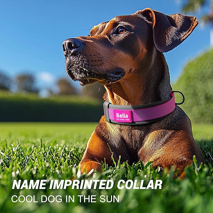 Personalized Dog Collar with Name & Phone Number - Durable Buckle, Ultra-Visible Fully Reflective, and Wide Comfort-Fit Padded Neoprene for Small, Medium, Large Dogs and Cats