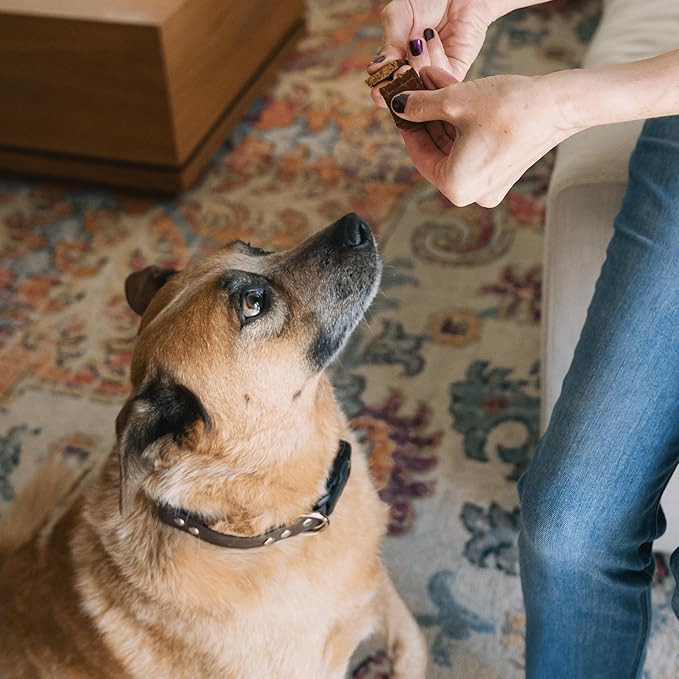 Rise & Shine Dog Treats Chicken Jerky Snack Bars, 5 oz Bag, Puppy and Training Treats, Natural Superfood Grain Free Made with Real Chicken, Superfoods, Corn Free & Soy Free