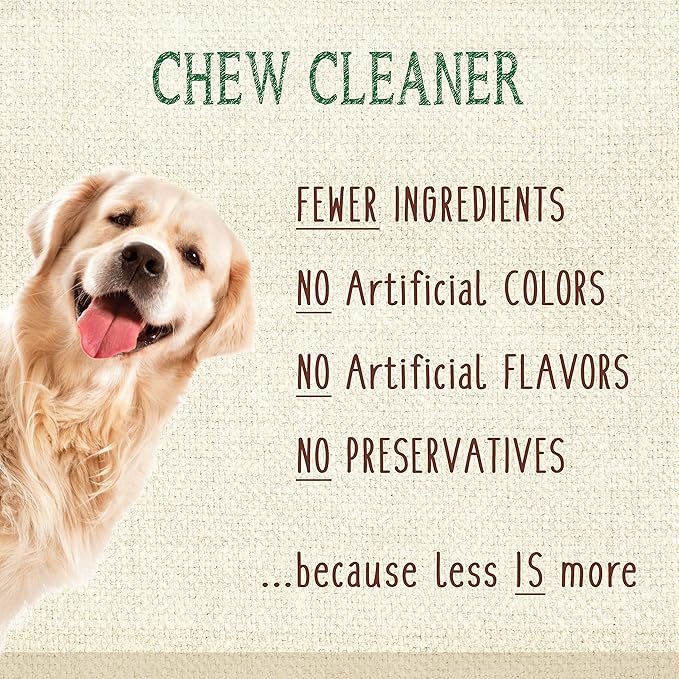 Nylabone Nutri Dent Dog Dental Chews - Natural Dog Teeth Cleaning & Breath Freshener - Dental Treats for Dogs - Filet Mignon Flavor, X-Large (1 Count)