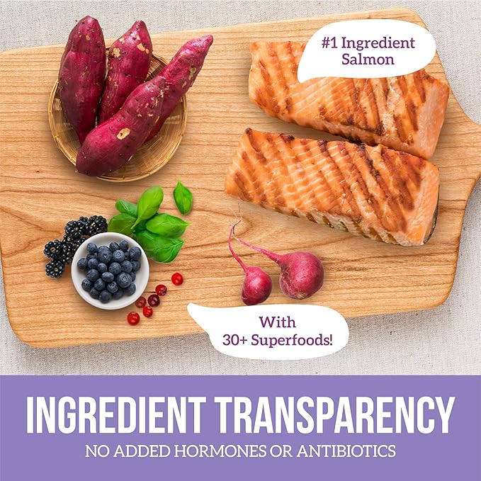 Health Extension Grain Free Salmon & Sweet Potato Dry Dog Food (10 lb / 4.54 kg) - Whole Foods Ingredients Formula with Omega 3 & Antioxidants for All Life Stages Dogs