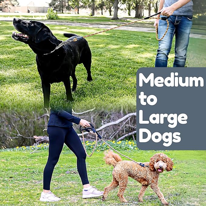 Premium 6 Ft Dog Leash - Two Extra Padded Handles, Heavy Duty Leashes for Medium Dogs to Large Breeds, Reflective, Shock-Absorbing, Anti-Pull Rope Leash, Strong Pet Lead for Everyday Walks - Roam Gear