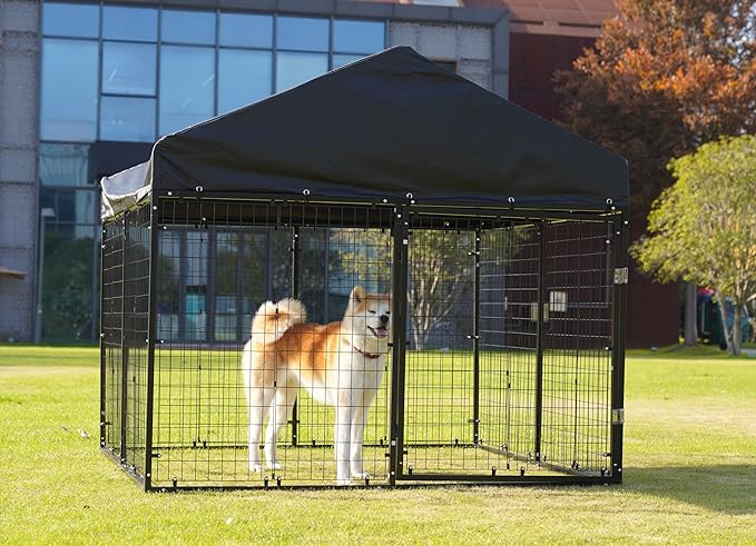 Large Outdoor Dog Enclosure,Heavy Duty Dog Cage with Roof,Galvanized Steel Dog Kennel Fence with Double Safety Locks(79”W x 79”D)